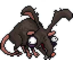 Rat